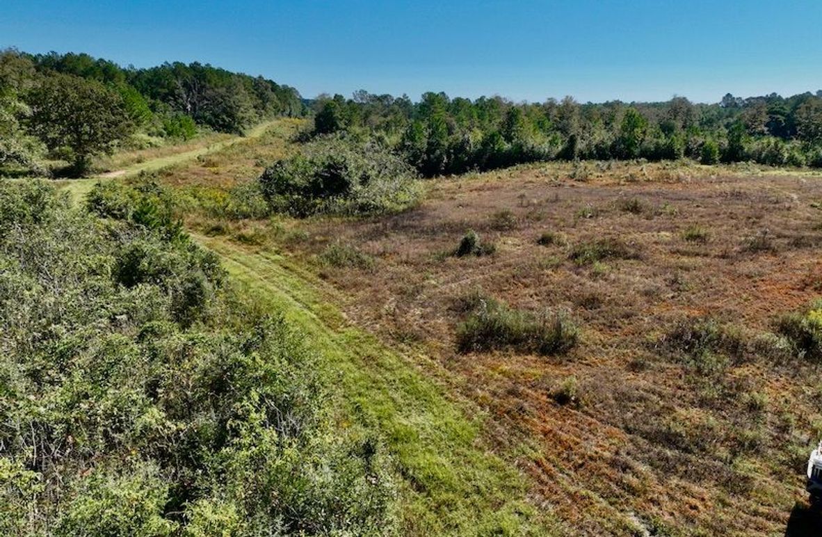 0C34A4EE-5AB8-4456-BDCF-DF77922DBD31_1_201_a