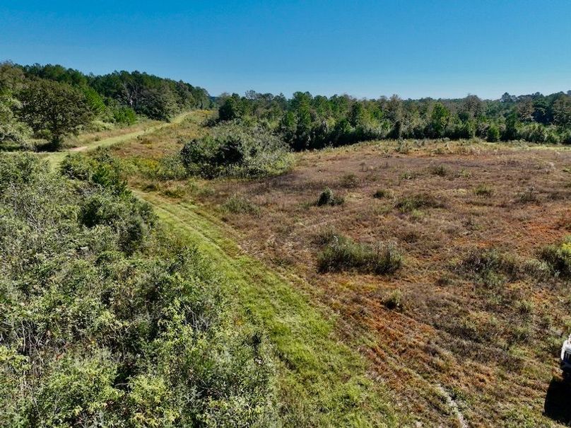 0C34A4EE-5AB8-4456-BDCF-DF77922DBD31_1_201_a