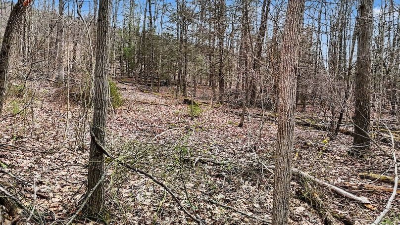 DJI_20260403151856_0062_D