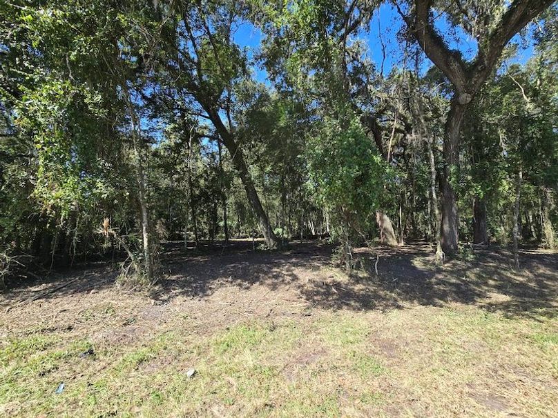 7.8ac, Citrus, Andrew Goering05