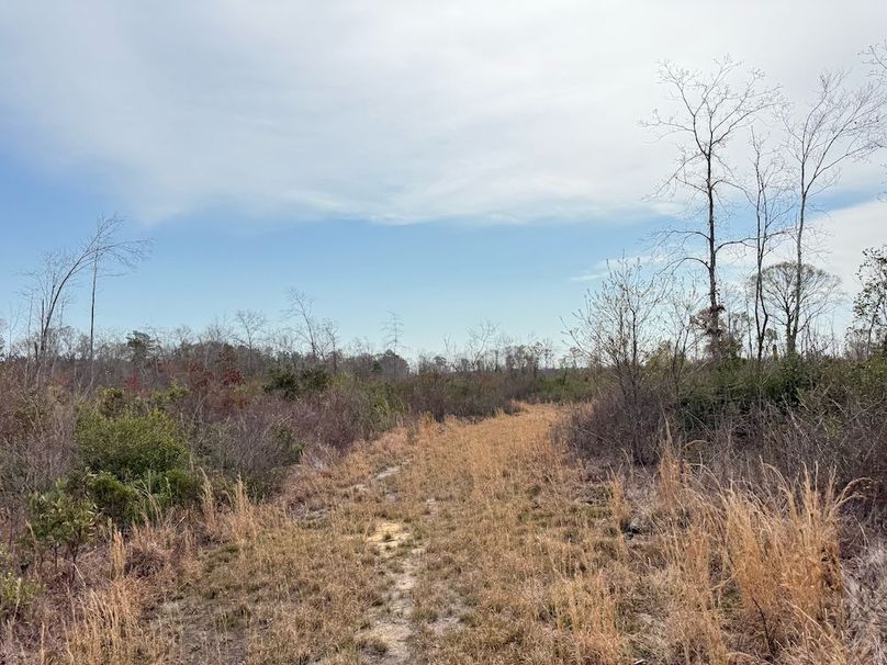 ACDC49A0-E3BC-4787-88E4-B84CDD3A1FF7