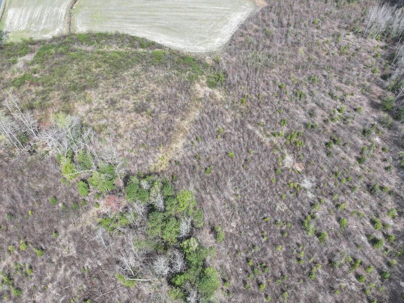 Copy of DJI_20260303065132_0590_D