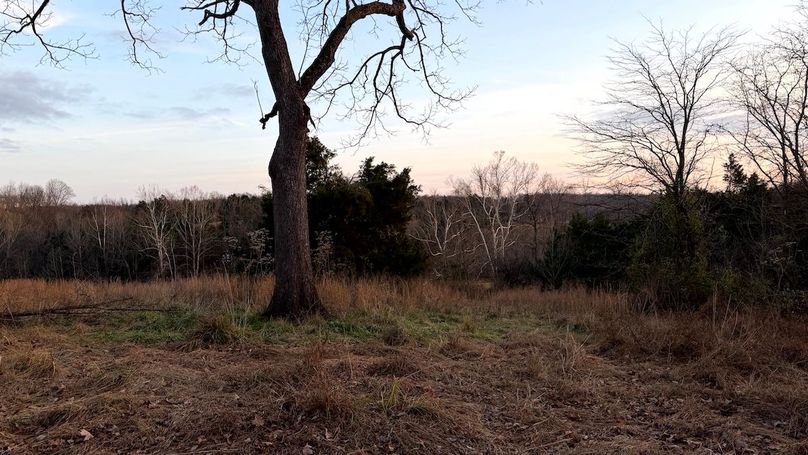 Grayson 48.195 Johnson11