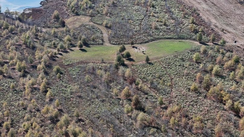 DJI_20251123011120_0939_D