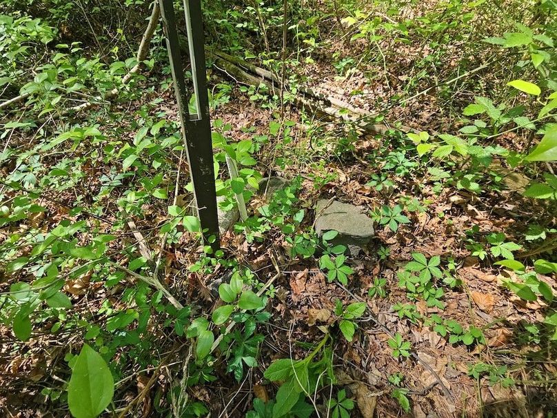 2.72ac_St Marys Rd_QAnnes_07