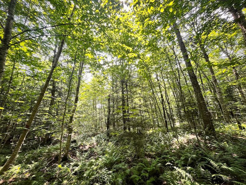 Oswego_100_Roof_Photos_36