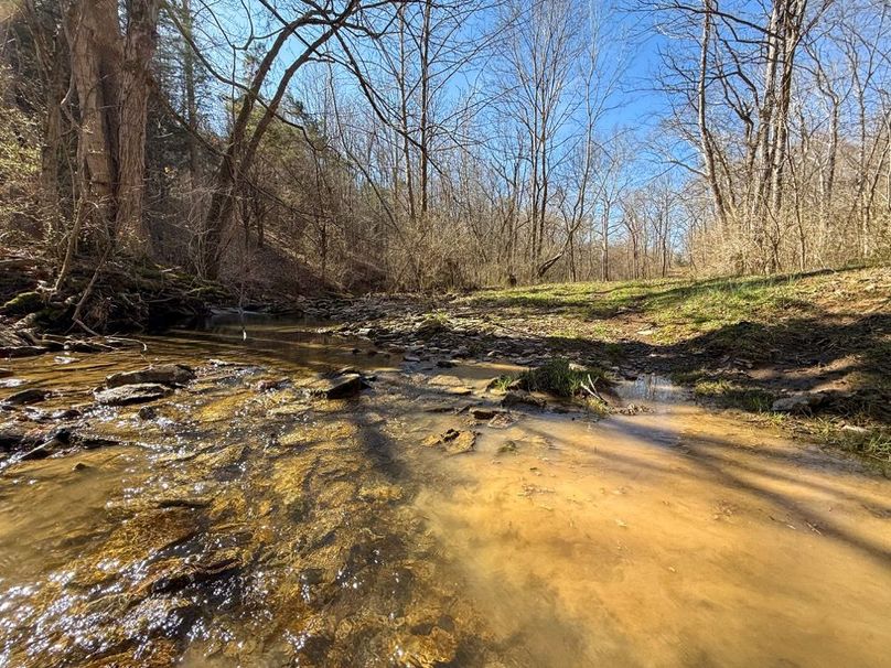 Fleming Petry 120-065