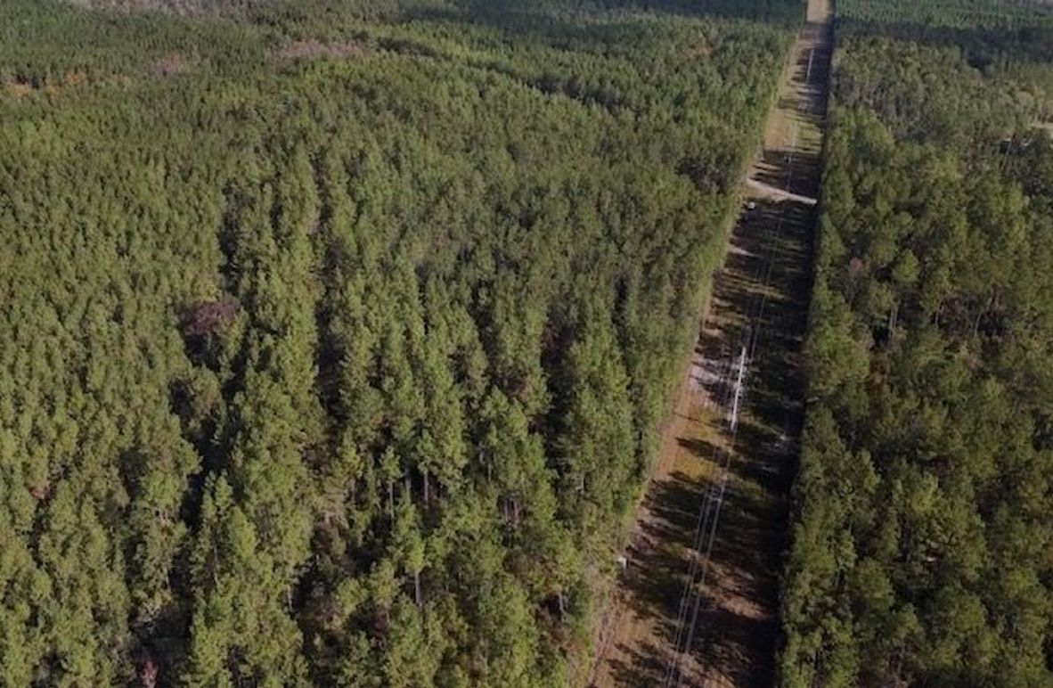 DJI_20231026101008_0003_D