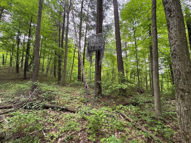 Pleasants, WV 168.59 AC Superior, Swank, Young-093