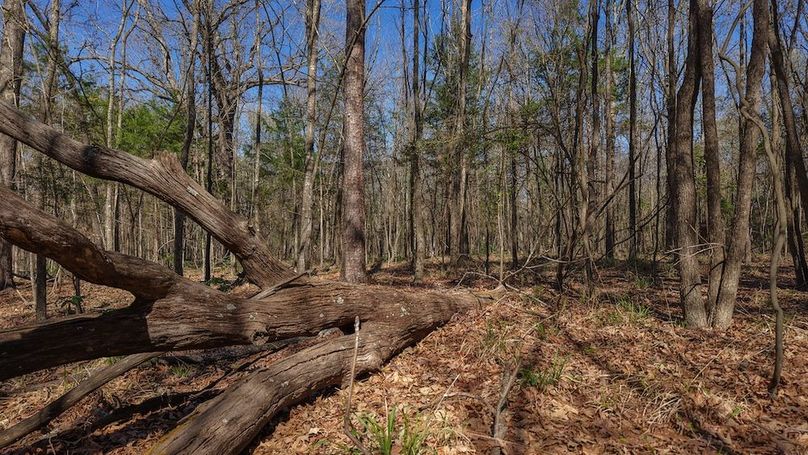 DJI_20260311013043_0048_D