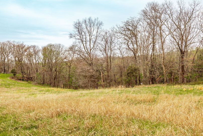 25-web-or-mls-Wolf Hill-3