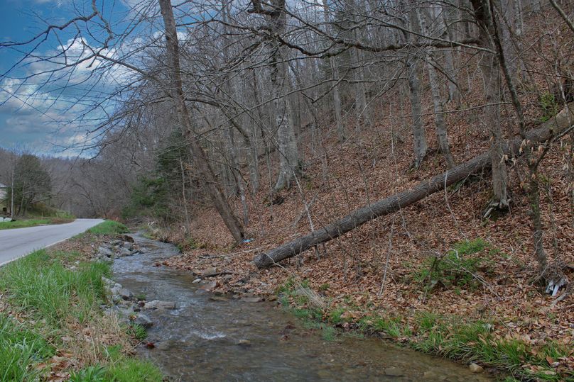 005 great county road frontage along Perkins Branch