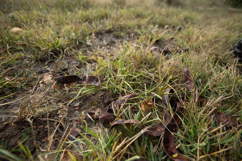 FREMONT CO. IA 158.32_23