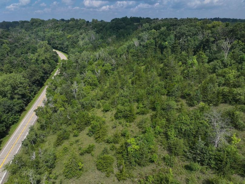 Goodhue 78.81 New -16