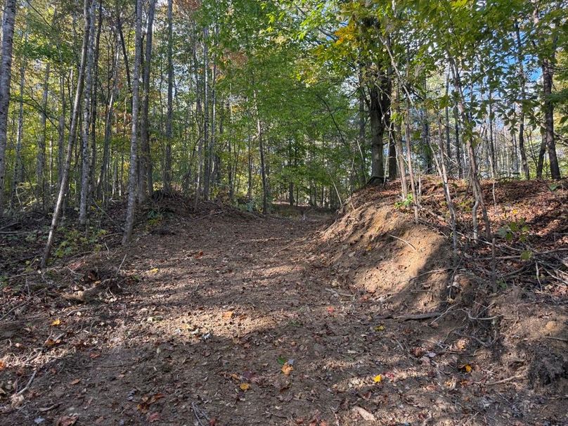 007 an old logging road providing access though the property