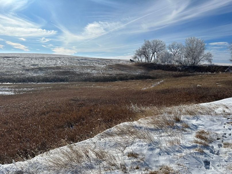 E571A2CB-C52D-487B-BC06-B1E34A9E25B6_1_105_c