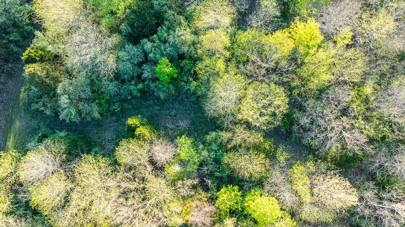 DJI_20260406181458_0010_D