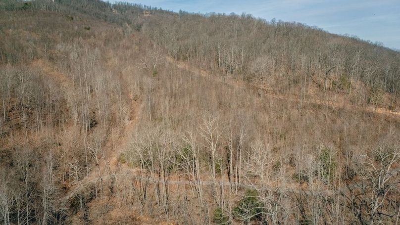 DJI_20260217123426_0138_D