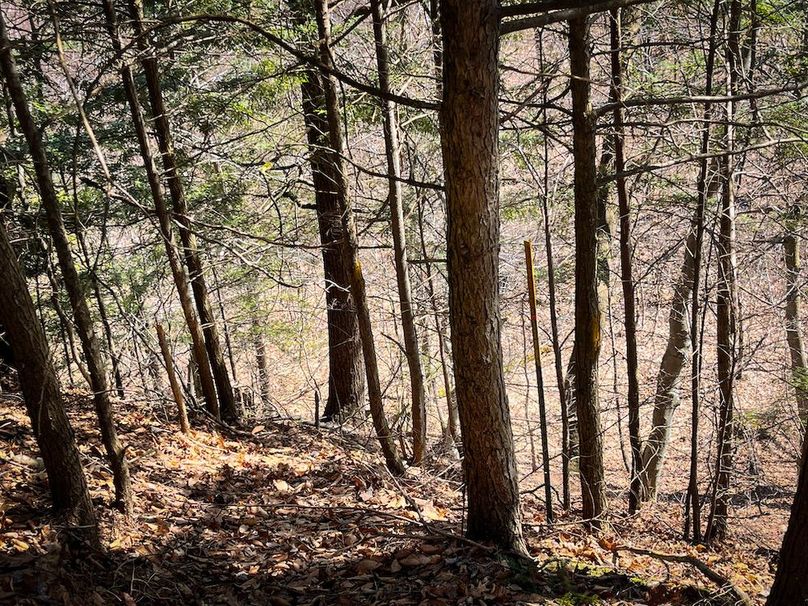 Oswego_22.46-Ross-French_Photos_14