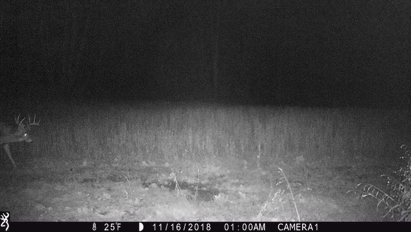 trail cam9