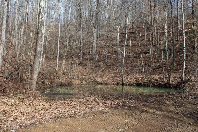 011 wildlife watering hole along the trail system