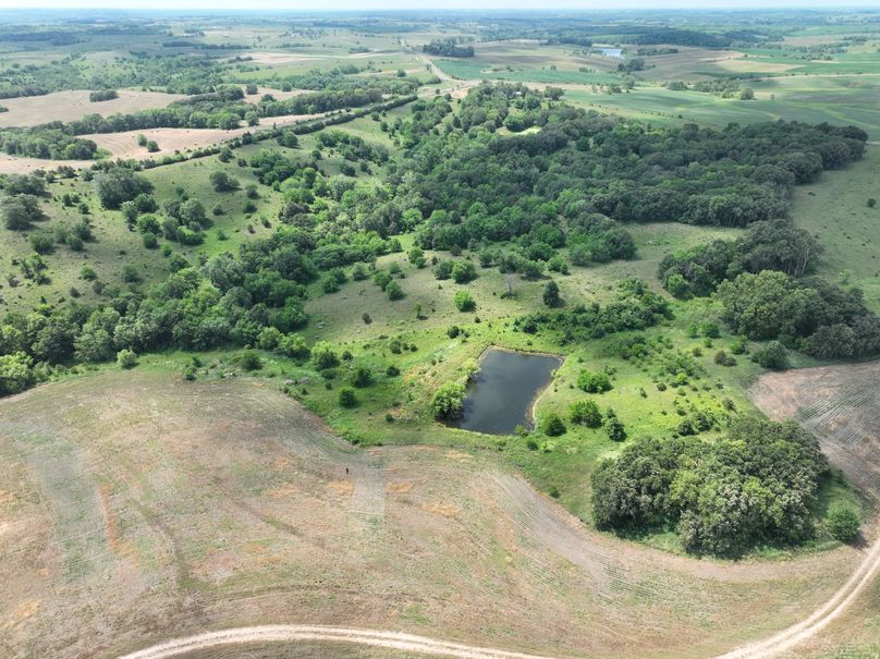 dji_fly_20230625_114402_452_1687717385644_photo