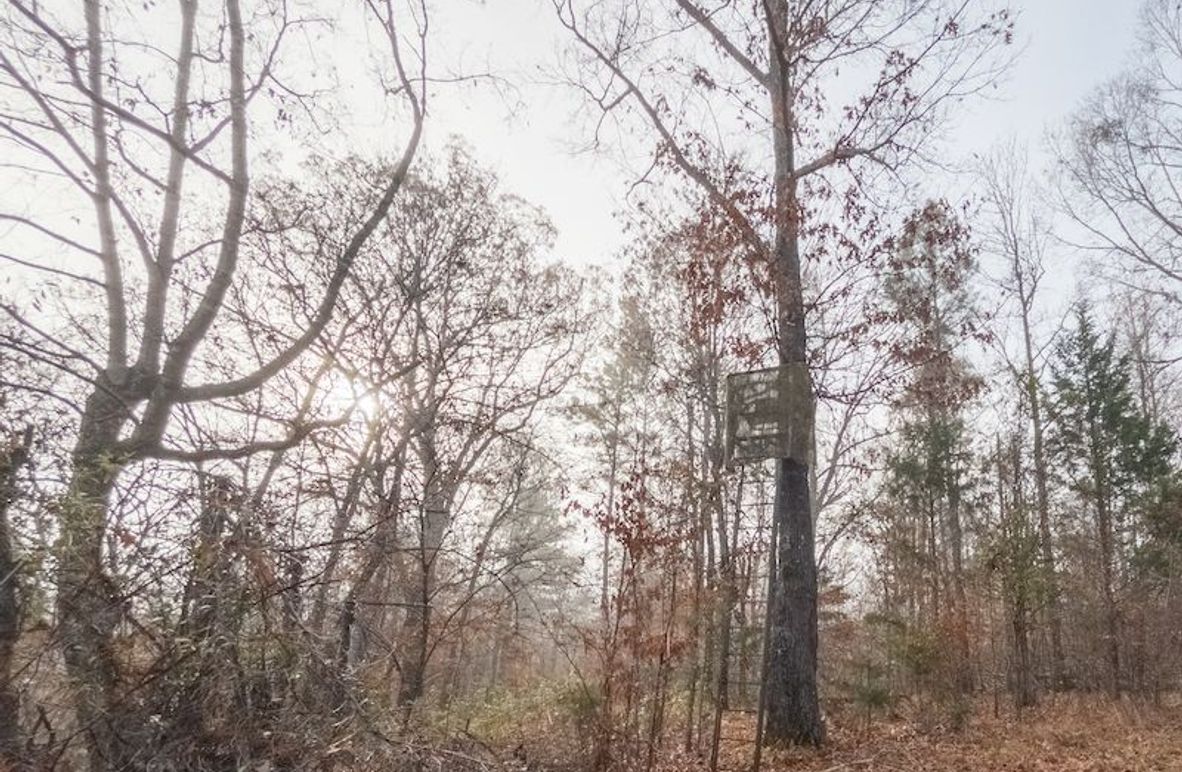 Claiborne Co - 274 - Marian-003