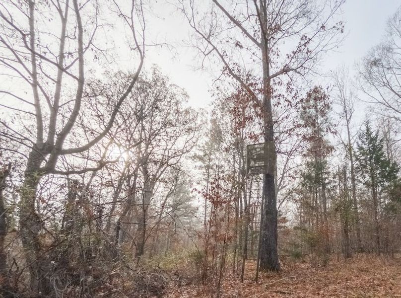 Claiborne Co - 274 - Marian-003