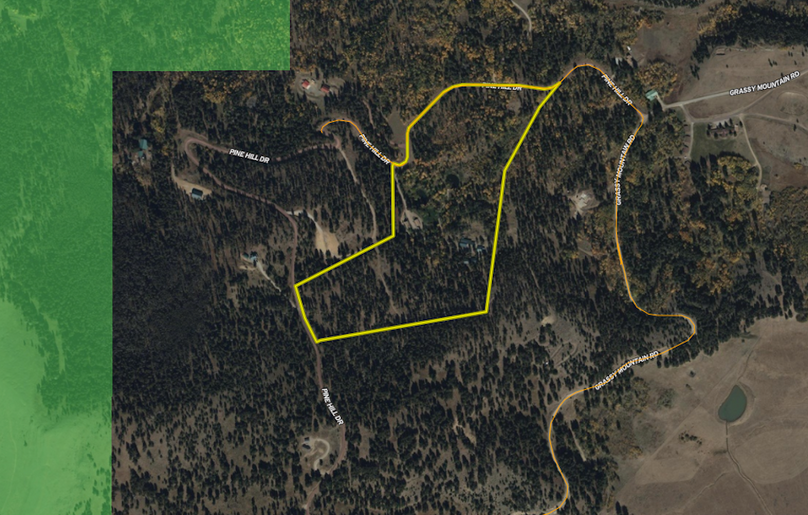 Screen Shot 2025-07-17 at 2.55.06 PM