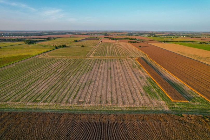 Bell 46.44 Pictures-18