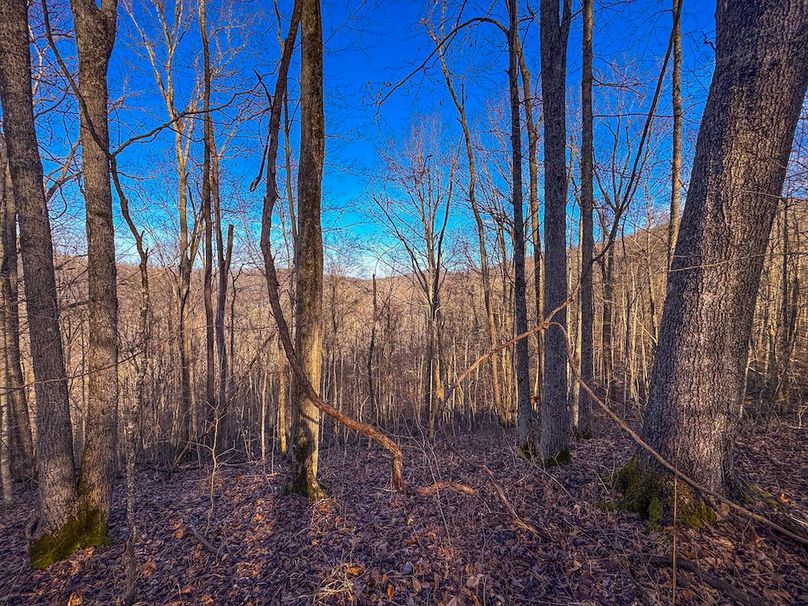 Lewis, WV 82.87 AC Barger-23