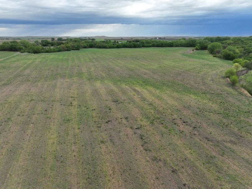 Copy of dji_fly_20240501_080516_979_1714568994718_photo