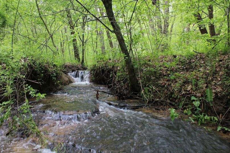 001 beautiful waters of the stream pouring into Greasy Branch