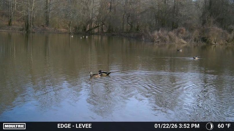 2899412-20260123184422-100MFCAM_MFDC0776