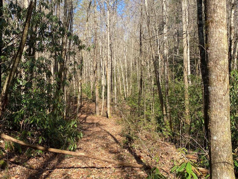 Cherokee 97.28+_- Stiles-27