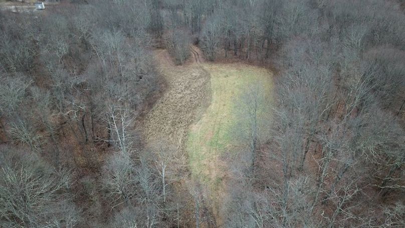 org_322b5f731ce5e50b_1767821958000