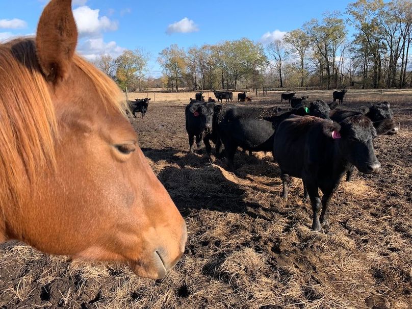 1865575A-2DB3-4F68-8031-75EC329172CE copy