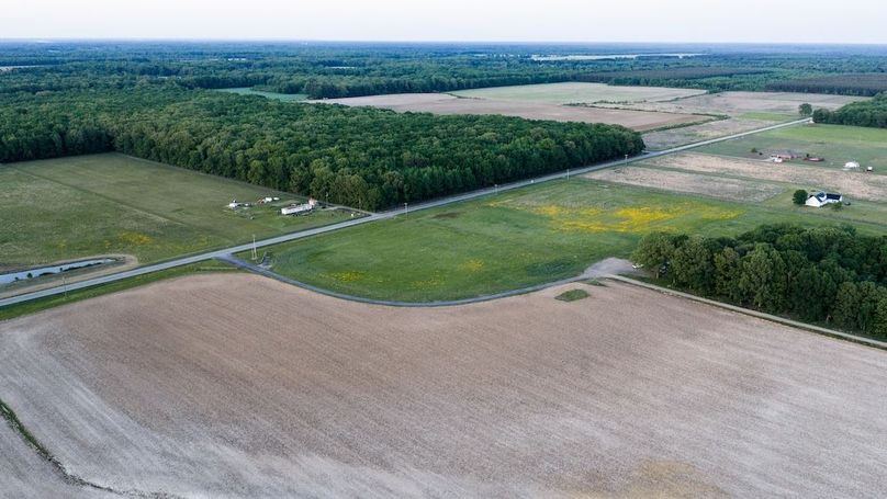 WhiteCoArkansas-1
