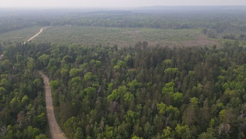 DJI_0935