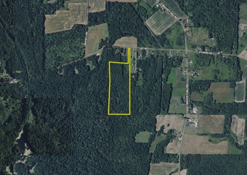 Screen Shot 2026-02-04 at 2.19.16 PM