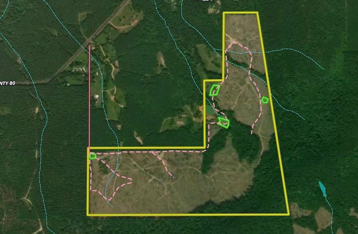 Screenshot 2025-09-15 at 10.33.33 AM