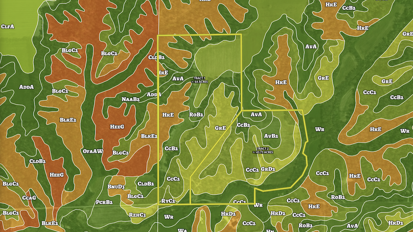 Screenshot 2025-08-07 084256