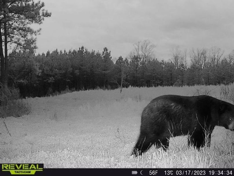 861107034983370-90-5-03172023193434-W1001371