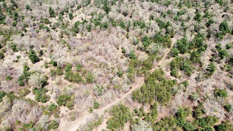 dji_fly_20230511_113550_432_1683838329280_photo_optimized