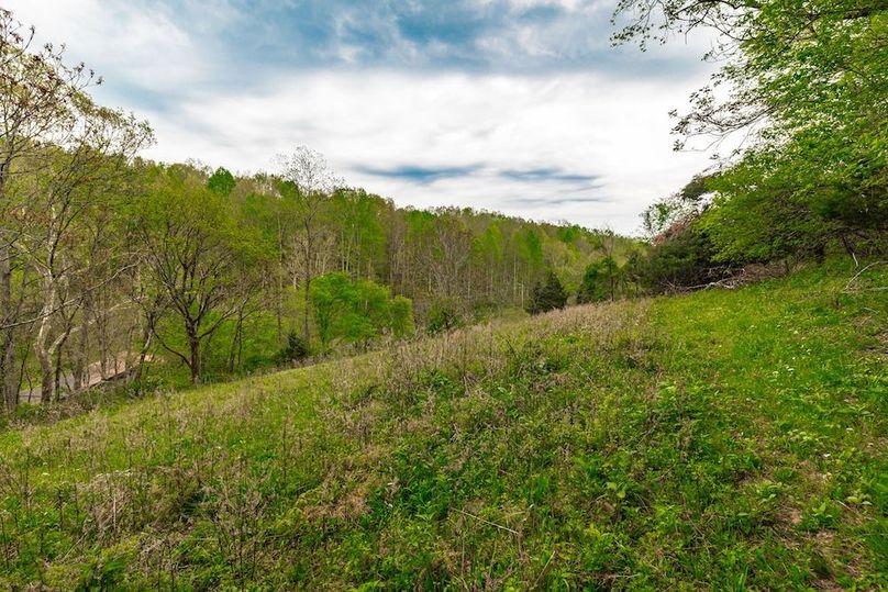 79-web-or-mls-1103 Johnny Spears Rd-84