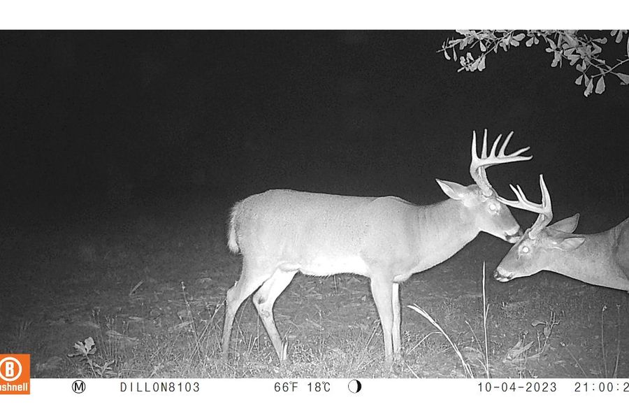 3.6