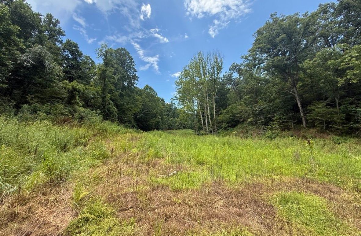 005 open field area in the valley near the stream