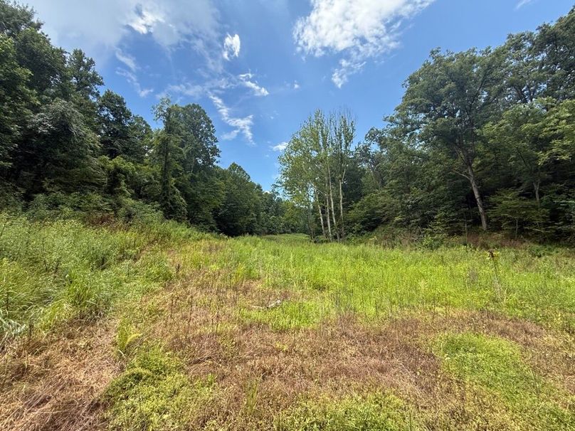 005 open field area in the valley near the stream