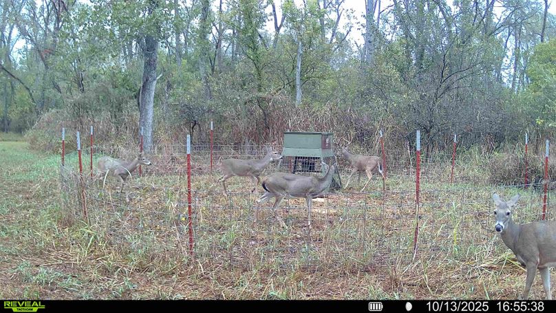 016687000319968-88-3-10132025171426-HD-SYFW00298