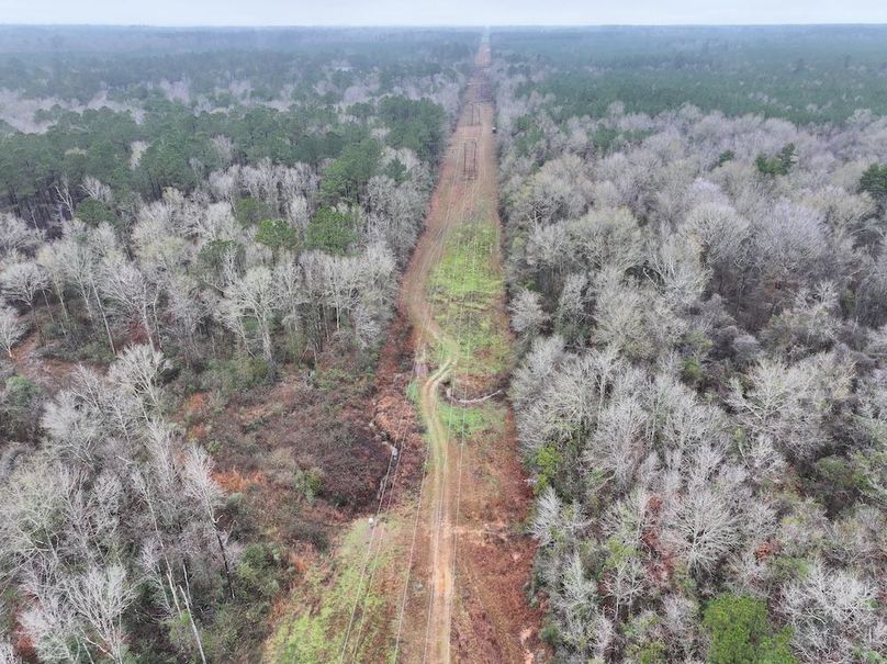 dji_fly_20260122_090726_0832_1769444824131_photo